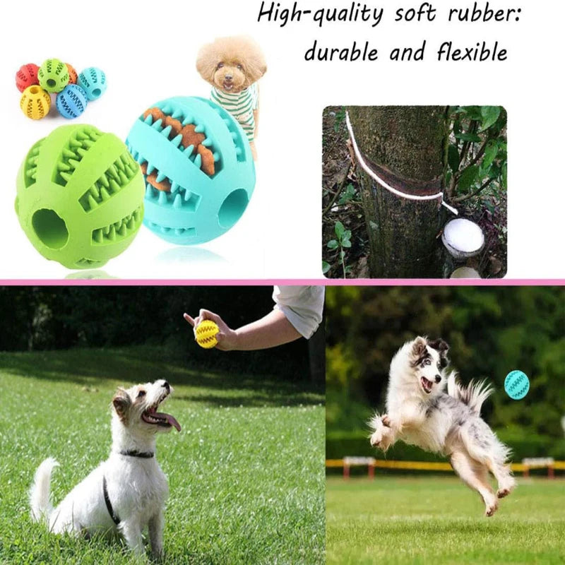 Dog Toy Ball Interactive Rubber Balls Puppy Chewing Toys Pet Tooth